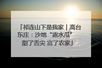 祁连山下是我家｜高台东庄：沙地“露水瓜” 甜了舌尖 富了农家