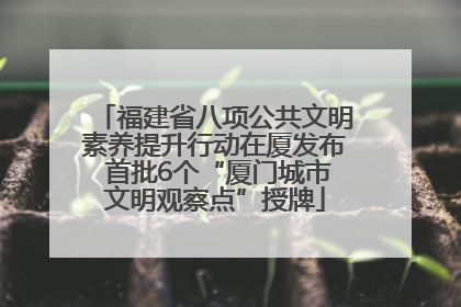 福建省八项公共文明素养提升行动在厦发布 首批6个“厦门城市文明观察点”授牌