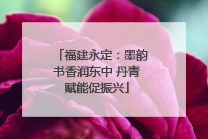 福建永定：墨韵书香润东中 丹青赋能促振兴