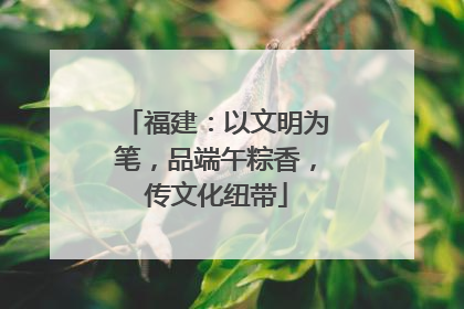 福建：以文明为笔，品端午粽香，传文化纽带