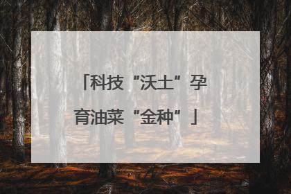 科技“沃土”孕育油菜“金种”