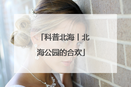 科普北海丨北海公园的合欢