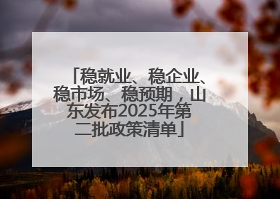 稳就业、稳企业、稳市场、稳预期，山东发布2025年第二批政策清单