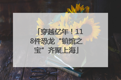 穿越亿年！118件恐龙“镇馆之宝”齐聚上海
