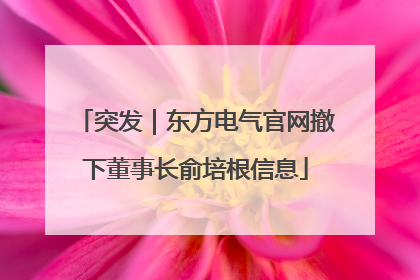 突发｜东方电气官网撤下董事长俞培根信息