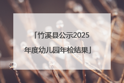 竹溪县公示2025年度幼儿园年检结果