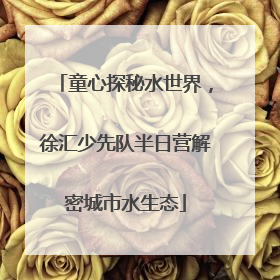 童心探秘水世界，徐汇少先队半日营解密城市水生态