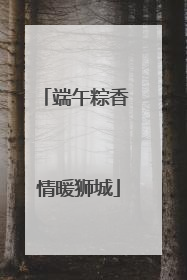 端午粽香 情暖狮城