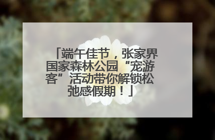 端午佳节，张家界国家森林公园“宠游客”活动带你解锁松弛感假期！