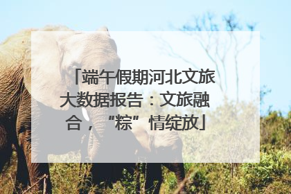 端午假期河北文旅大数据报告：文旅融合，“粽”情绽放