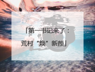 第一书记来了：荒村“焕”新颜