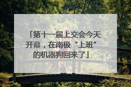 第十一届上交会今天开幕，在南极“上班”的机器狗回来了