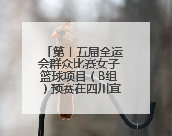 第十五届全运会群众比赛女子篮球项目（B组）预赛在四川宜宾南溪开赛