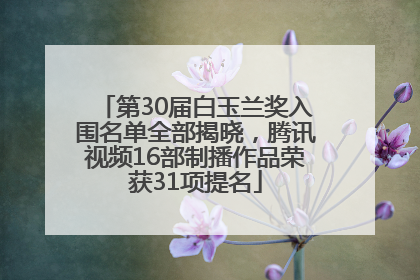 第30届白玉兰奖入围名单全部揭晓，腾讯视频16部制播作品荣获31项提名