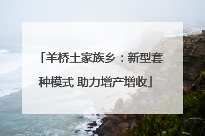 羊桥土家族乡：新型套种模式 助力增产增收