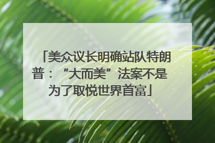 美众议长明确站队特朗普：“大而美”法案不是为了取悦世界首富