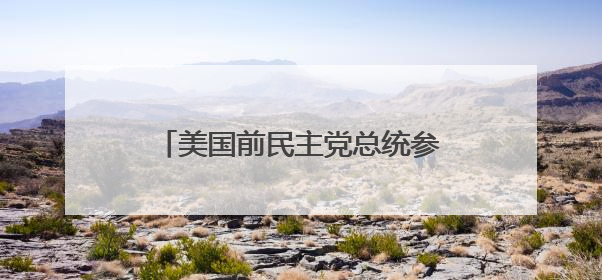 美国前民主党总统参选人杨安泽邀请马斯克合作组建新政党