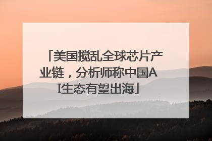美国搅乱全球芯片产业链，分析师称中国AI生态有望出海