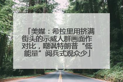 美媒：希拉里用挤满街头的示威人群画面作对比，嘲讽特朗普“低能量”阅兵式观众少