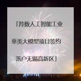 羚数人工智能工业垂类大模型项目签约落户无锡高新区