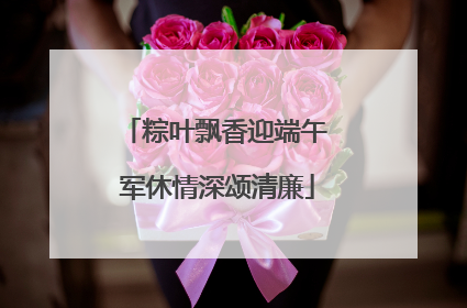粽叶飘香迎端午 军休情深颂清廉