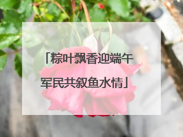粽叶飘香迎端午 军民共叙鱼水情