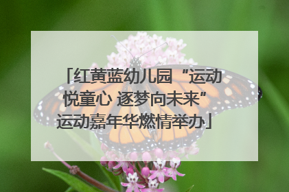 红黄蓝幼儿园“运动悦童心 逐梦向未来”运动嘉年华燃情举办