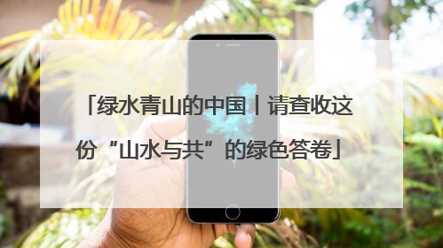绿水青山的中国丨请查收这份“山水与共”的绿色答卷