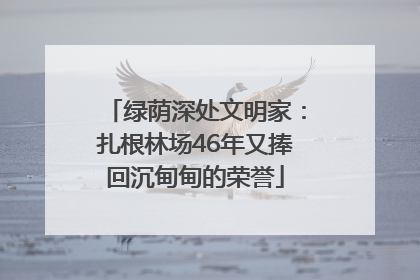 绿荫深处文明家：扎根林场46年又捧回沉甸甸的荣誉