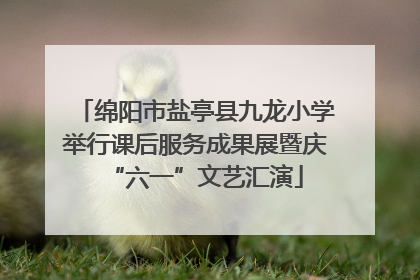 绵阳市盐亭县九龙小学举行课后服务成果展暨庆“六一”文艺汇演