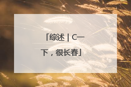 综述｜C一下，很长春