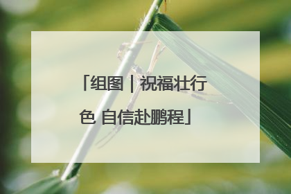 组图｜祝福壮行色 自信赴鹏程