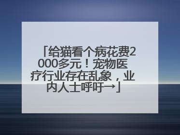 给猫看个病花费2000多元！宠物医疗行业存在乱象，业内人士呼吁→