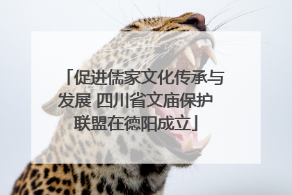 促进儒家文化传承与发展 四川省文庙保护联盟在德阳成立