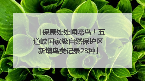保康处处闻啼鸟！五道峡国家级自然保护区新增鸟类记录23种