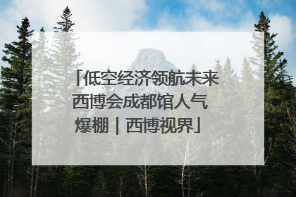 低空经济领航未来 西博会成都馆人气爆棚｜西博视界