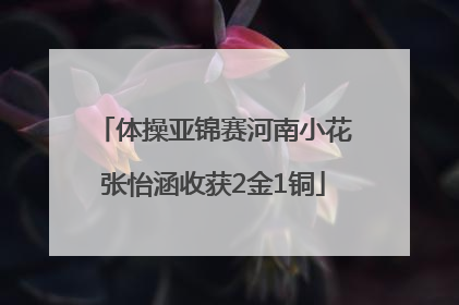 体操亚锦赛河南小花张怡涵收获2金1铜