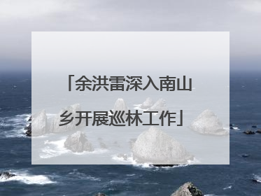 余洪雷深入南山乡开展巡林工作
