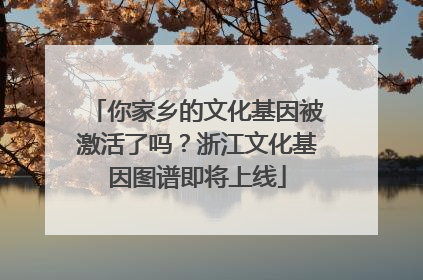 你家乡的文化基因被激活了吗？浙江文化基因图谱即将上线