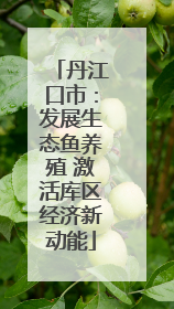 丹江口市：发展生态鱼养殖 激活库区经济新动能