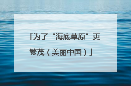 为了“海底草原”更繁茂（美丽中国）