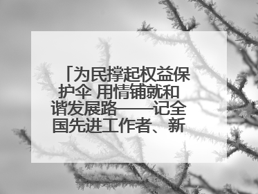 为民撑起权益保护伞 用情铺就和谐发展路——记全国先进工作者、新区项目建设中心干部卢小勇