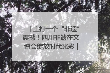 主打一个“非遗”震撼！四川非遗在文博会绽放时代光彩｜文博向“新”
