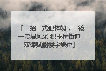 一招一式强体魄，一镜一景展风采 积玉桥街道双课赋能楼宇党建