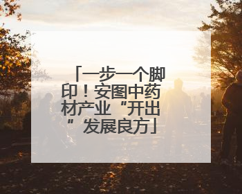 一步一个脚印！安图中药材产业“开出”发展良方