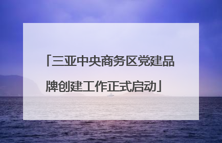 三亚中央商务区党建品牌创建工作正式启动