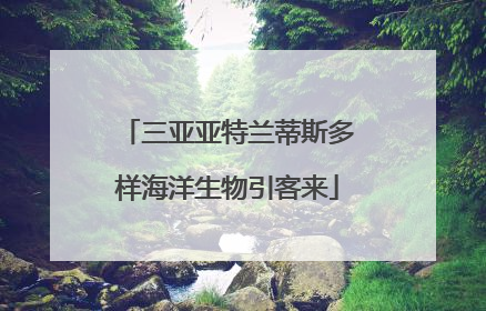 三亚亚特兰蒂斯多样海洋生物引客来