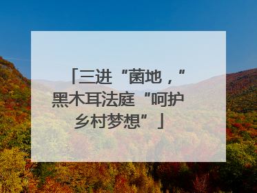 三进“菌地，”黑木耳法庭“呵护乡村梦想”