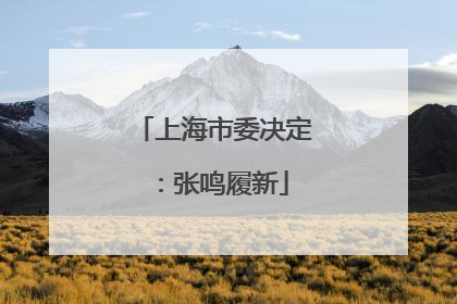 上海市委决定：张鸣履新