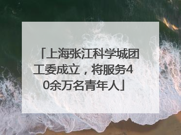 上海张江科学城团工委成立，将服务40余万名青年人